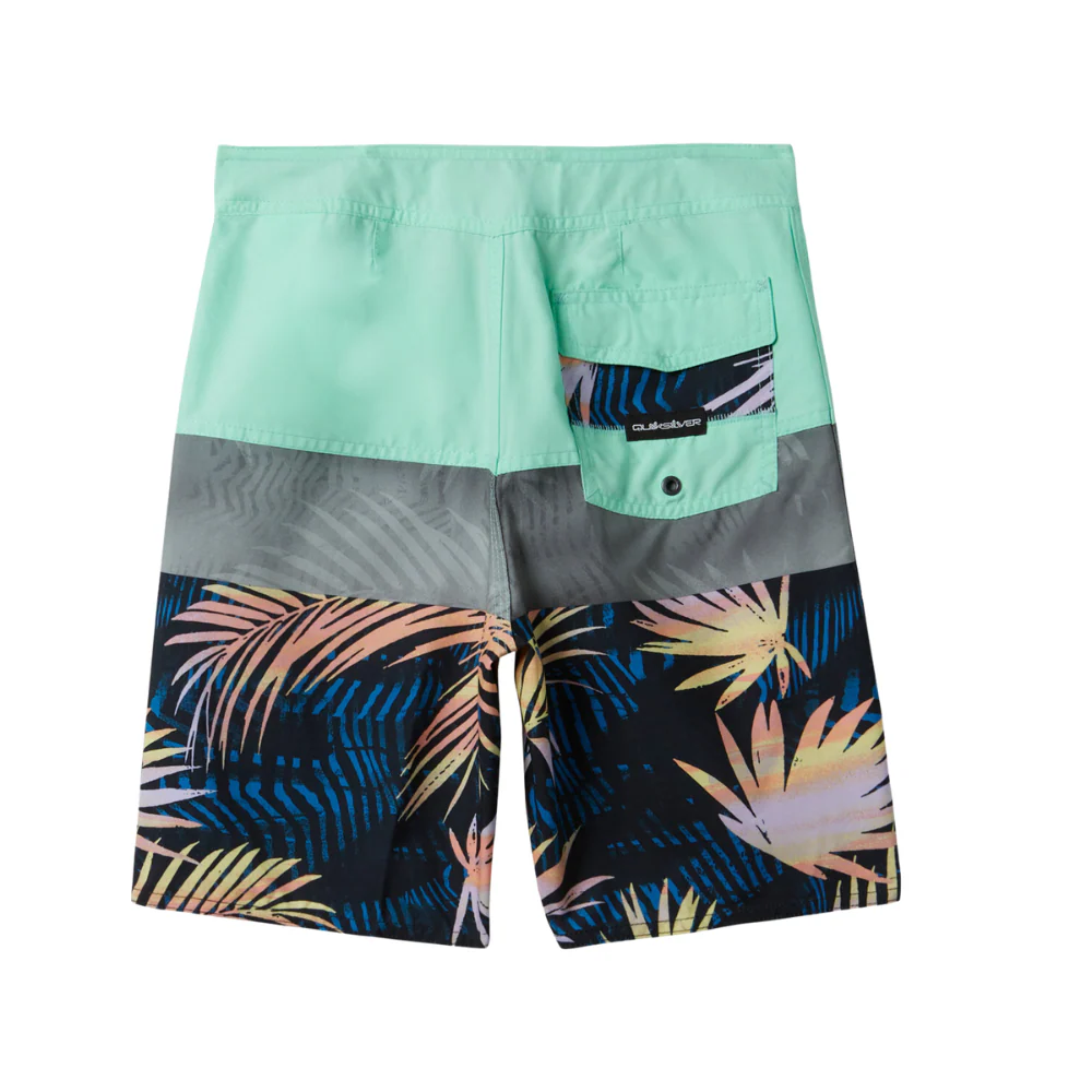 Quiksilver Everyday Panel 17" Boardshort for Boys 8-16 - Image 6