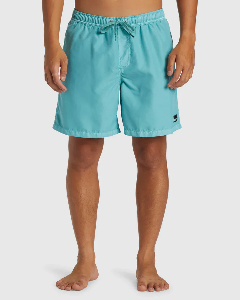 Quiksilver Men's Everyday Surfwash Volley 17" Shorts - Image 5