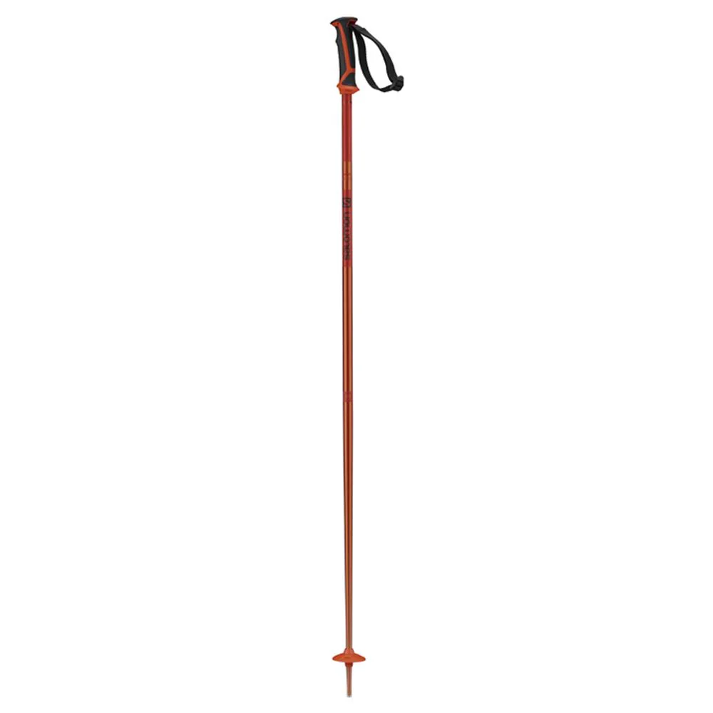 Salomon Arctic Ski Pole - Image 2